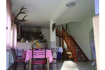 România Privát Izvorul Mureşului, Exteriorul